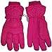 N'Ice Caps Women's Cold Weather Thinsulate and Waterproof Bulky Ski Gloves with Ridges