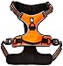 Chai's Choice Best Outdoor Adventure Dog Harness (X-Large, Orange)