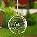 SWISSELITE Glass Hanging Planters Hanging Glass Terrariums, Plant Terrariums Set (3 Pack Ball)