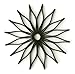 Spice Ratchet Blossom Multi-Use Silicone Trivet, Black