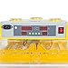 Best Choice Products 96 Digital Clear Egg Incubator Hatcher Automatic Egg Turning Temperature Control