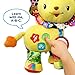 VTech Crinkle and Roar Lion (Frustration Free Packaging)