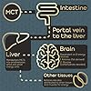 MCT-Oil-500ml--High-Potency-Pure-C8-Premium-Keto-Diet-Supplement-Made-from-100-Sustainably-Sourced-Coconuts-Boosts-Ketones-Suitable-for-Bulletproof-Coffee-Ketogenic-Vegan-Low-Carb-Diet MCT Oil 500ml – High Potency Pure C8 - Premium Keto Diet Supplement - Made from 100% Sustainably Sourced Coconuts…
