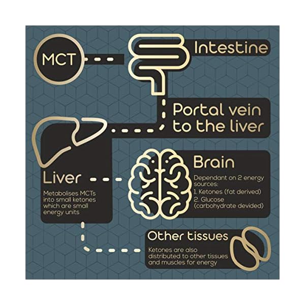 MCT-Oil-500ml--High-Potency-Pure-C8-Premium-Keto-Diet-Supplement-Made-from-100-Sustainably-Sourced-Coconuts-Boosts-Ketones-Suitable-for-Bulletproof-Coffee-Ketogenic-Vegan-Low-Carb-Diet MCT Oil 500ml – High Potency Pure C8 - Premium Keto Diet Supplement - Made from 100% Sustainably Sourced Coconuts…