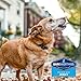 Barkworthies Protein-Rich Kangaroo Jerky Dog Treats (4 oz.) - All-Natural & High-Protein Dog Chews
