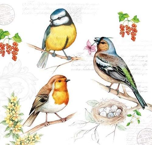 4 Paper Napkins for Decoupage - 3-ply, 33 x 33cm -Birds on Twig (4 Individual Napkins for Craft and Napkin Art.)
