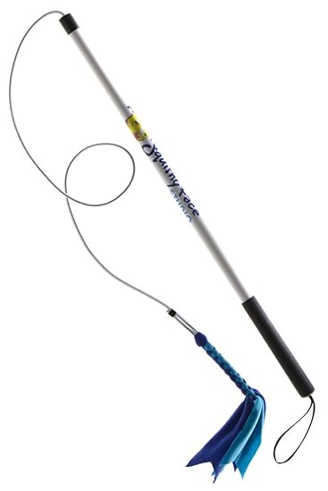 Buy Squishy Face Studio Flirt Pole V2 Dog Exercise Toy With Blue Aqua Squeaker Fleece Lure 36 Inch Online At Low Prices In India Amazon In