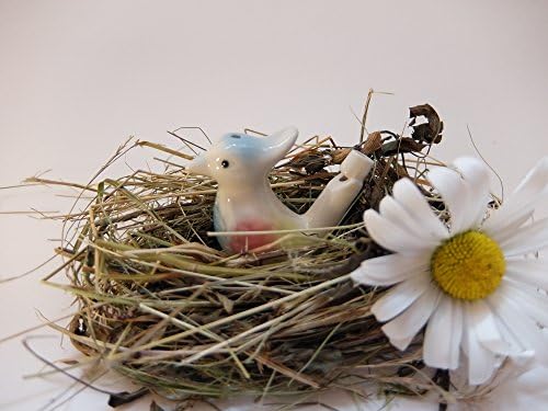 Songbird 1 Bird Water Whistles Musical toy for kids 100% real bird singing