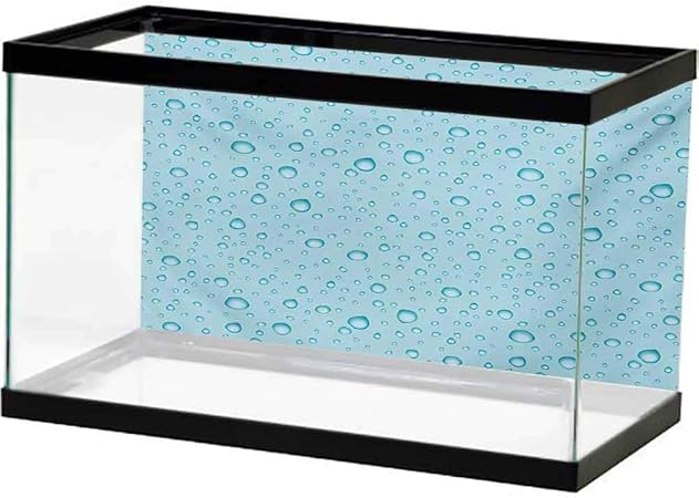 ScottDecor Aqua Aquarium Fish Tank Big Small