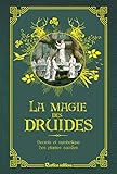 La magie des druides by 