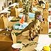 Dinosaur Party Decoration - 3-Piece Dinosaur Honeycomb Decoration Centerpiece, Kids Birthday Party Supplies for Boys, T-Rex Themed, Triceratops, and Brachiosaurus