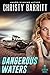 Dangerous Waters (Lantern Beach Book 4) by Christy Barritt