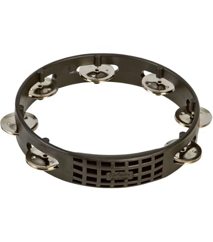 Amazon.com: RhythmTech TC4048 8-Inch True Colors Tambourine