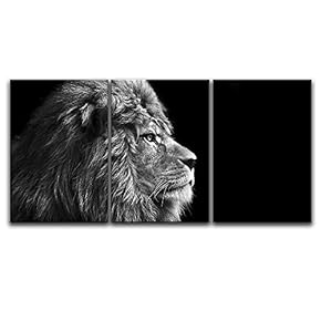 3 Panel Lion Head on Black Background x 3 Panels