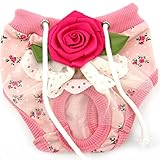 PanDaDa Puppy Pet Dog Flower Sanitary Panty Pant Lace Diaper Underwear Pink X-Small