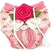 PanDaDa Puppy Pet Dog Flower Sanitary Panty Pant Lace Diaper Underwear Pink X-Small