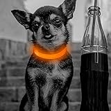 Clan_X Led Dog Collar, USB Rechargeable light up Pet Collar for small dogs, Glow