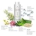 Natural Witch Hazel Face Toner - Alcohol Free with Aloe Vera, Rose Water, Green Tea - Forest Heal Unscented Natural Facial Toner and Moisturizer - Skin Toner 10.14 Oz / 300 mL¡¦