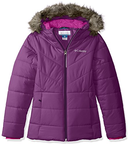 Columbia Little Girls' Toddler Katelyn Crest Jacket, Iris Glow, 2T