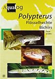 AQUALOG: Polypterus - Bichirs (English and German Edition) by 