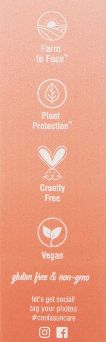 Coola, Organic Mineral Sunscreen Tinted Lip Balm Lip Care for Daily Protection Broad Spectrum SPF 30 Safe 0.15 Oz, Coral Reef, 1 Count: Premium Beauty