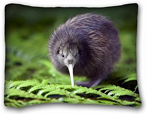 Decorative Standard Pillow Case Animals kiwi fern s bird 20"*26" One Side