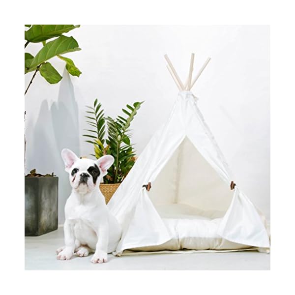 little dove pet teepee