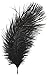 Zucker B802-B Ostrich Feathers 2/Pkg-Black