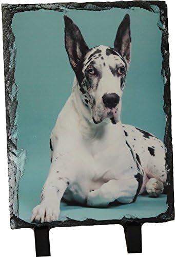 6 x 8 Slate Photo Plaque - Custom Order