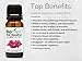 Biofinest Monarda Essential Oil (Bee Balm, Wild Bergamot) - 100% Pure Organic Therapeutic Grade - Best for Aromatherapy, Ease Stress Anxiety Bad Mood Nausea Digestion - Free E-Book (10ml)