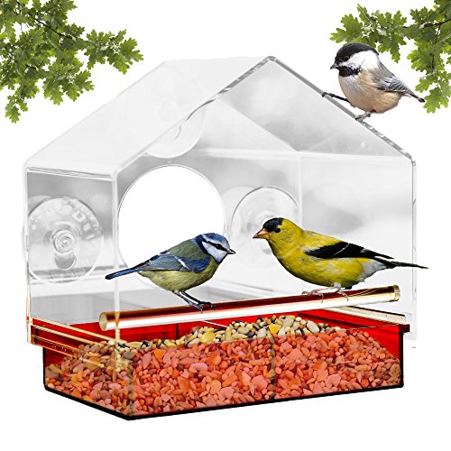 Window Bird Feeder With Strong Suction Cups Attracts Wild Birds
