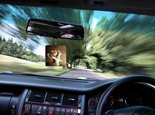 Titanic-Kittens-Car-Air-Freshener