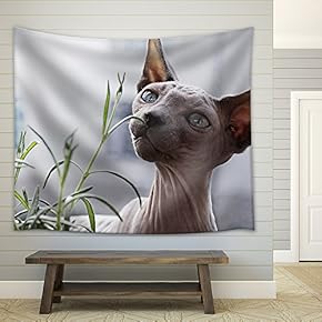 D Dog Smells The Grass - Fabric Wall Tapestry Home Decor - 51x60 inches