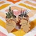 Supla 120 PCS Favor Tags Thank You Gift Tags Place Cards Name Tags Blank Cards Hang Tags Kraft Paper Tags Maple Fall Leaves Shape - 3.2