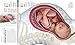 The Pregnant Body Book: The Complete Illustrated Guide from Conception to Birth