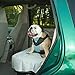 Bergan Dog Auto Harness with Tether, Extra Large