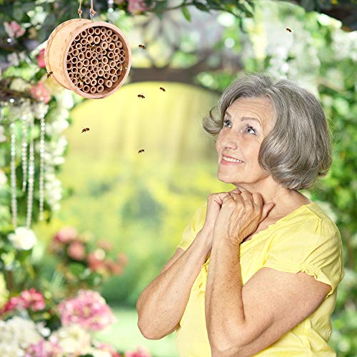 2 Mason+Bee+House+Pollinators+Productivity