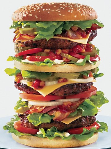 Majestic Puzzle 20 Inch x27 Inch 1000 pc. Puzzle - Super Size