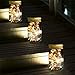 ZOUTOG Solar String Lights, 30 LED Hanging Mason Jar Outdoor Lights with Handle, Solar Lantern Lights for Patio / Garden / Yard and Lawn, 6 Pack - Jars & Hangers Included