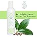 The Wonder Seed Hemp Shampoo - All Natural Organic Formula - Vegan Friendly Blend - Best Solution for Dry Itchy Scalp/Dandruff/Oily Hair & More - Proudly Cruelty Free (Green Tea) 8oz