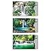 16 RFID Blocking Sleeves in Fun Realistic Designs! (12 Credit Card Holders & 4 Passport Protectors) Ultimate Premium Identity Theft Protection Sleeve Set for Men & Women.