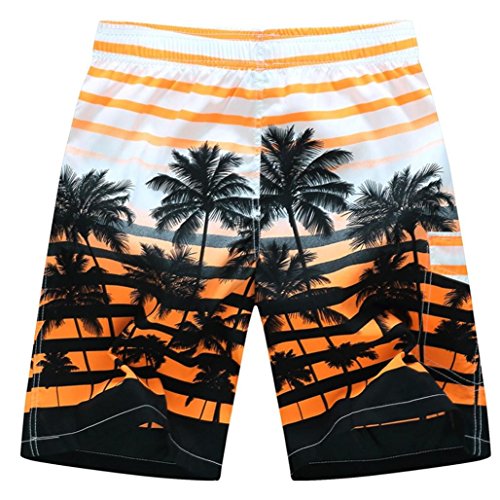 image for Forthery Mens Shorts Summer Beach Swim Trunks Quick Dry Board Shorts w
