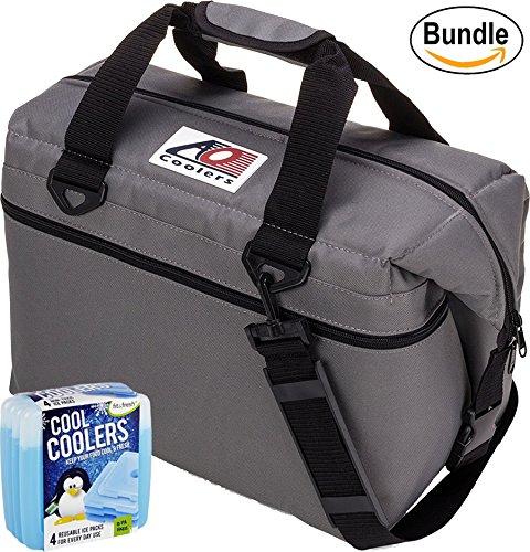 AO Coolers Canvas Series Soft Cooler with High-Density Insulation, Size 24-Can, 30 Qt. - #AO24CH - Charcoal &amp; Fit &amp; Fresh Cool Coolers Slim Ice 4-Pack (Bundle)