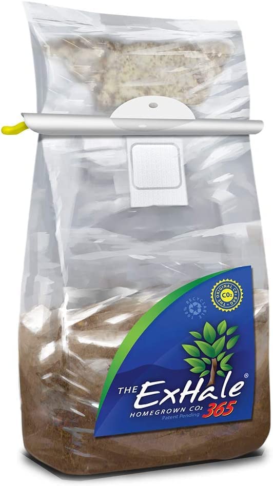 ExHale Homegrown CO2 365 SelfActivated Bag For Grow Rooms & Tents