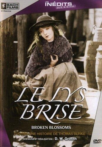 Le Lys Brisé