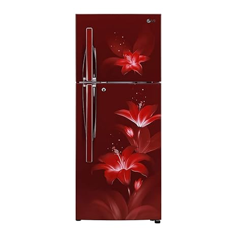 LG 260 L 2 Star Inverter Frost-Free Double-Door Refrigerator (GL-C292RRGY, Ruby Glow)