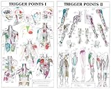 Trigger Points I and II Laminated Chart/Posters