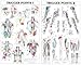 Trigger Points I and II Laminated Chart/Posters