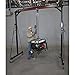 Roughneck Manual Chain Hoist - 2 Ton, 10ft. Lift