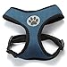 BINGPET Small Dog Harness - Breathable Mesh Puppy Cat Harnesses - No Pull Adjustable Dog Harness Dog Vest Harness for Small and Medium Dogs